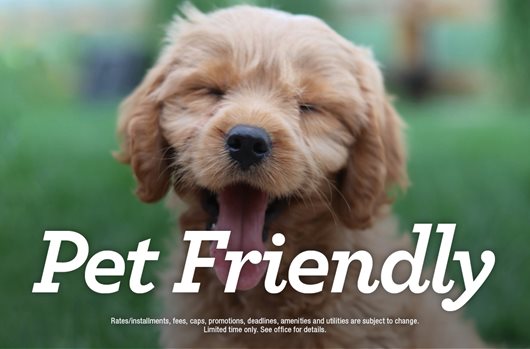 Pet Friendly