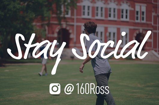 Stay Social