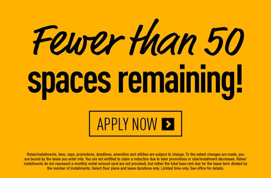 Fewer than 50 spaces remaining! Apply now >