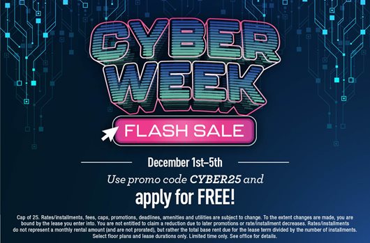 Use promo code CYBER25 between December 1st - 5th and apply for free