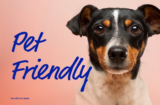Pet Friendly