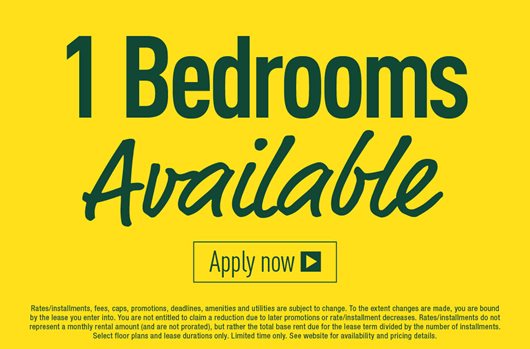 1 Bedroom Available 