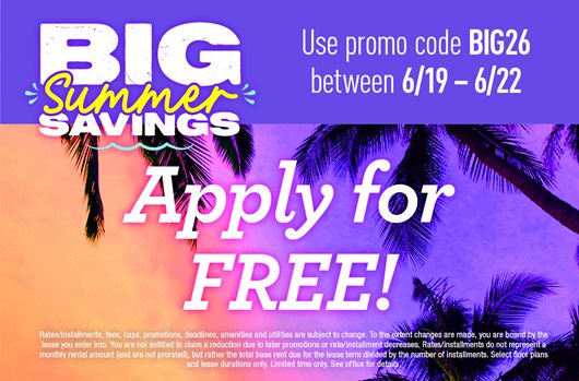 Big Summer Savings
