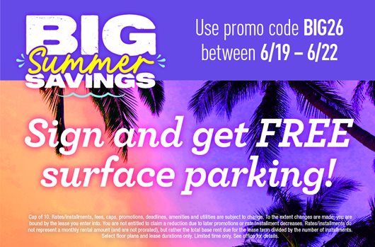 Big Summer Savings Flash Sale