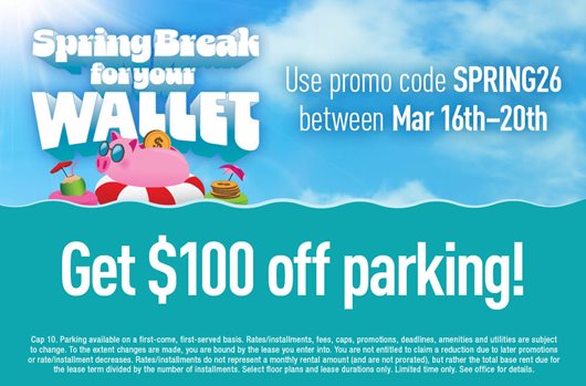 Spring Break Flash Sale