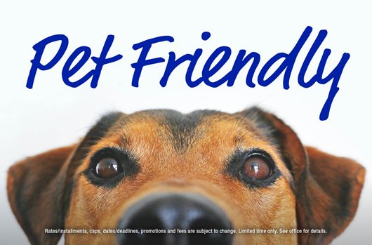 Pet Friendly