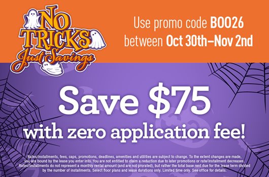 Halloween Flash Sale. Oct 30th - Nov 2nd