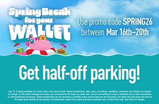 Spring Break Flash Sale