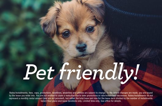 Pet friendly!