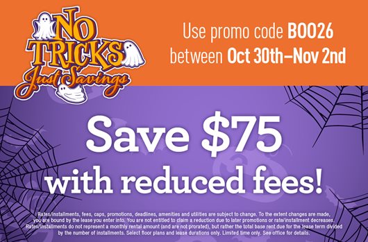 Halloween Flash Sale