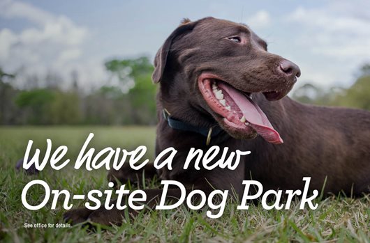 We have a new on-site dog park