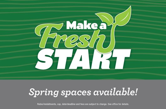 Spring Spaces Available!