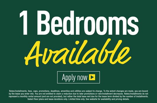 1 Bedroom Available 