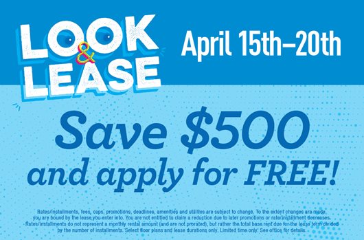 Look & Lease Flash Sale