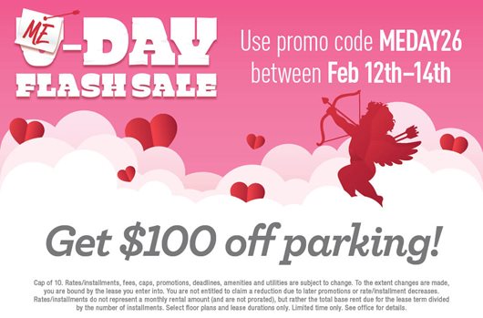 Me-Day Flash Sale