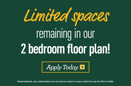 Full apartments available!