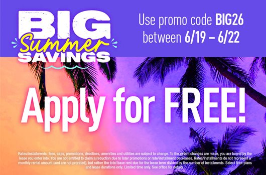 Big Summer Savings Flash Sale