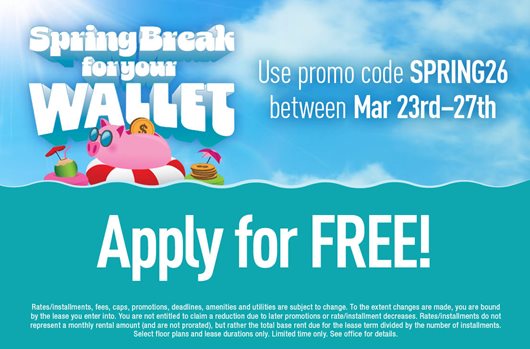 Spring Break flash sale