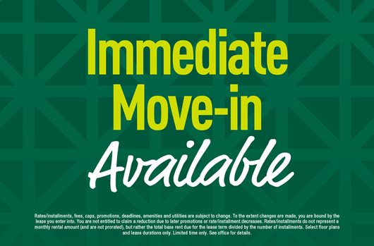 Immediate Move-in Available 
