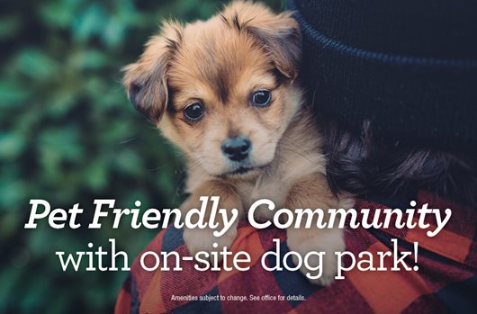 Pet Friendly Community with on-site dog park! 