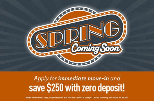 Spring Special