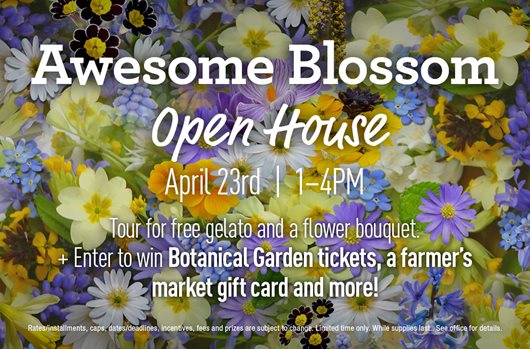 Awesome Blossom Open House