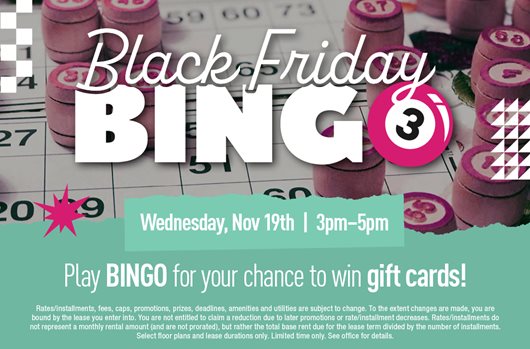 Black Friday Bingo Nov 19th | 3-5 pm Play BINGO for your chance to win gift cards!