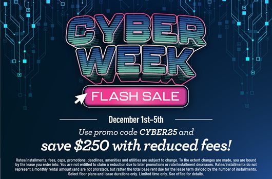 Cyber Week Flash Sale