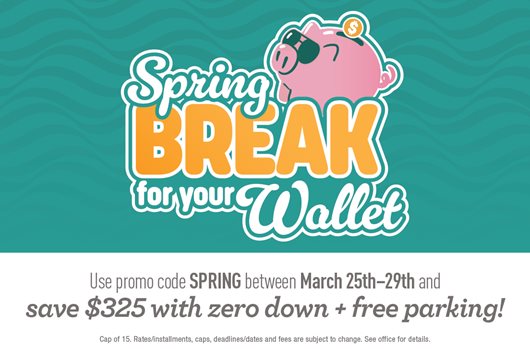 Spring Break Flash Sale PB