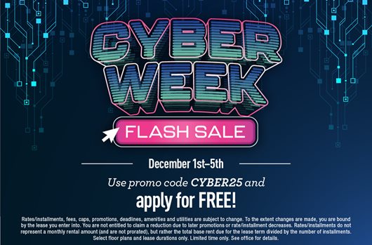 Cyber Week Flash Sale | Dec 1st-5th | Use promo code CYBER25 and apply for FREE!