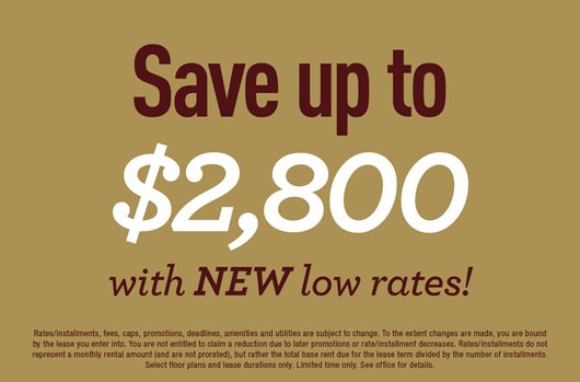 New Low Rates