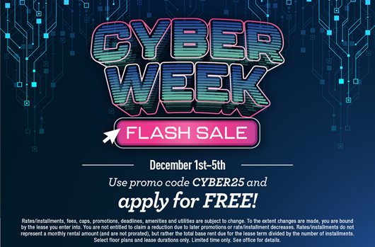 Cyber Week Flash Sale
