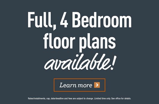 Full, 4 bedrooms available