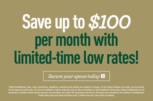 Save up to $100 per month with limited-time low rates!