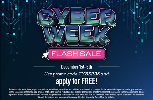 Cyber Week Flash Sale | Dec 1st-5th | Use promo code CYBER25 and apply for FREE!