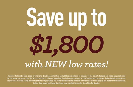 New Low Rates
