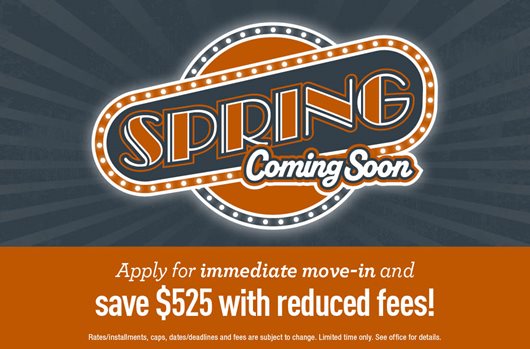 Spring Special