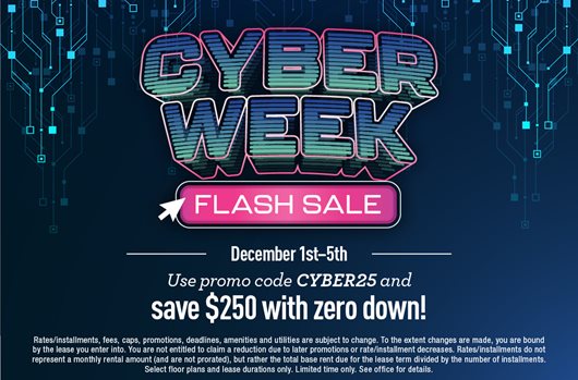Cyber Week Flash Sale | Dec 1st-5th | Use promo code CYBER25 and save $250 with zero down!